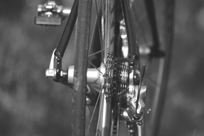radsport